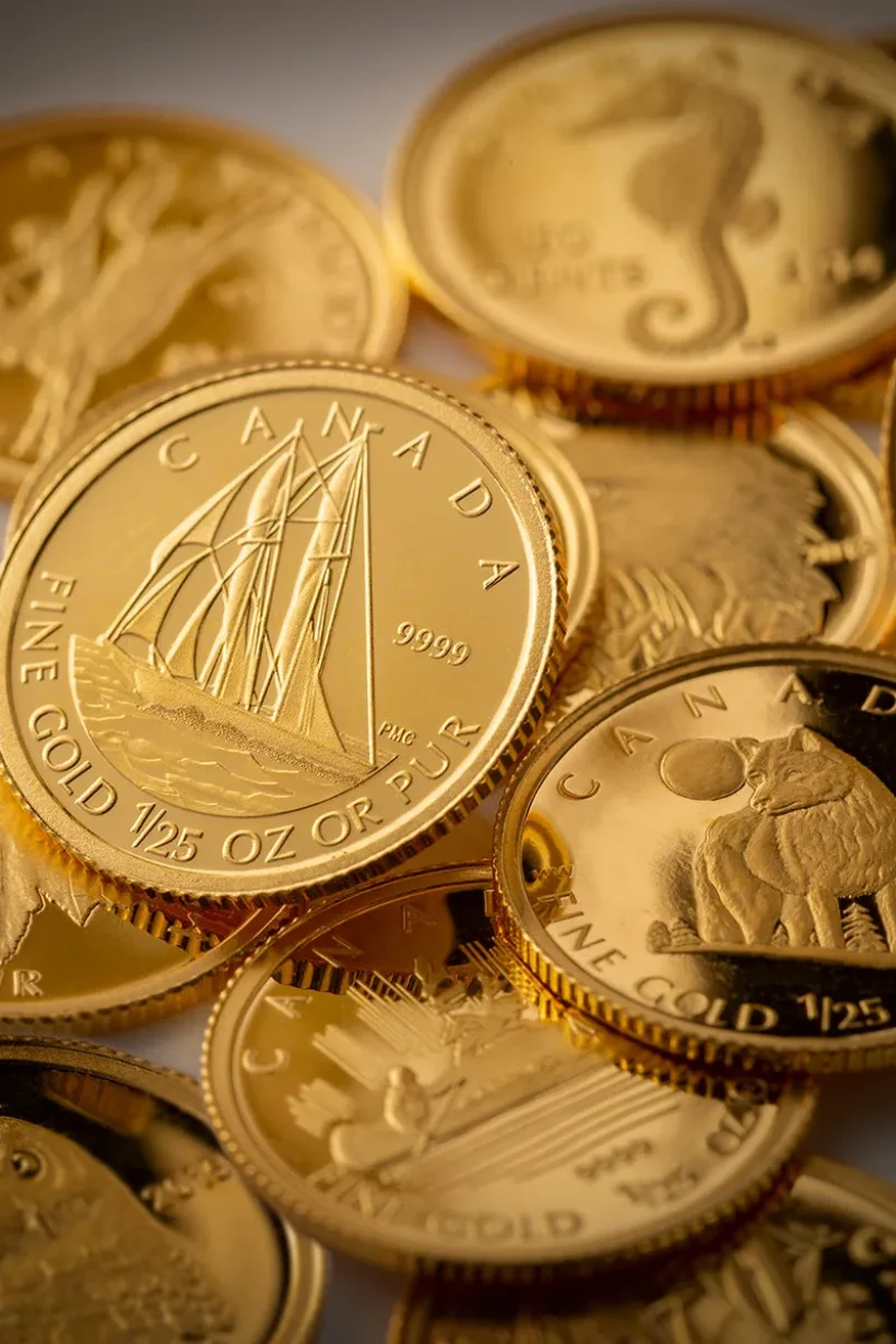 lava-general-metal-trading-fzco (24)